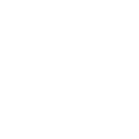 trust icon two