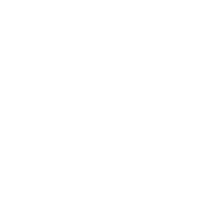 trust icon